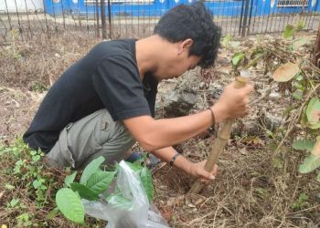 Dakwah Humanis Untuk Mitigasi Bencana, Kelompok KKN 234 Tanam Pohon dan Buat Biopori