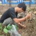 Dakwah Humanis Untuk Mitigasi Bencana, Kelompok KKN 234 Tanam Pohon dan Buat Biopori