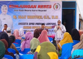 Elly Wahyuni Serap Aspirasi Warga Pesawaran soal Jalan dan Jembatan