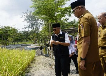 Tinjau Inovasi Itera, Gubernur Lampung Ajak Kolaborasi Riset Ketahanan Pangan Hingga Pengembangan Pariwisata