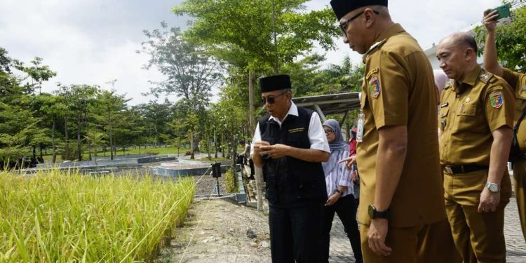 Tinjau Inovasi Itera, Gubernur Lampung Ajak Kolaborasi Riset Ketahanan Pangan Hingga Pengembangan Pariwisata