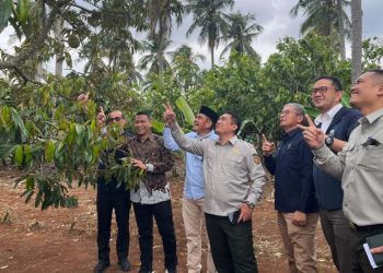 PTPN I Regional 7 Siap Laksanakan Program Hilirisasi Perkebunan