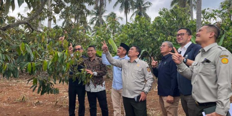 PTPN I Regional 7 Siap Laksanakan Program Hilirisasi Perkebunan