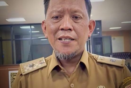 Pemprov Lampung Siap Bantu Atasi Jembatan Rusak di Tanggamus