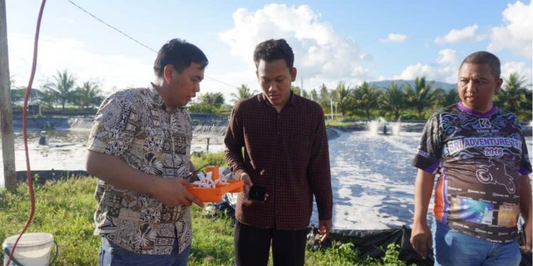 Dosen Itera Ciptakan Teknologi Tambak Udang Cerdas Berbasis IoT