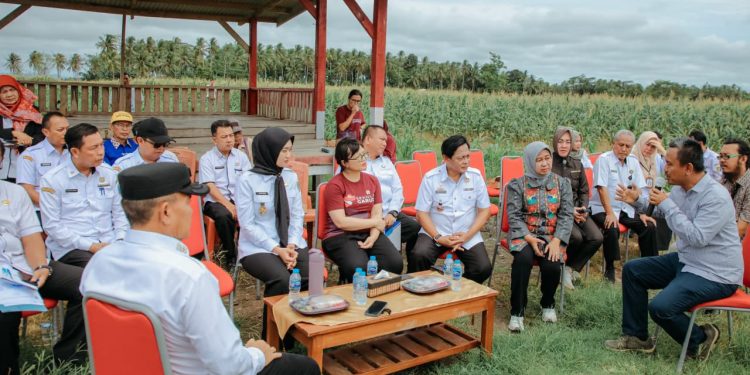 Wagub Jihan dan Wamen Tinjau Lokasi SMA Garuda di Kalianda