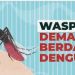 Bandar Lampung Waspada DBD! Diskes Catat 382 Kasus Sepanjang 2025