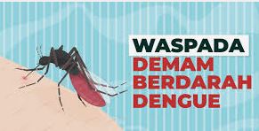 Bandar Lampung Waspada DBD! Diskes Catat 382 Kasus Sepanjang 2025