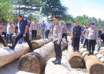 Kapolda Lampung Tegaskan Sikap: Illegal Logging Tak Ada Ruang di Pesisir Barat