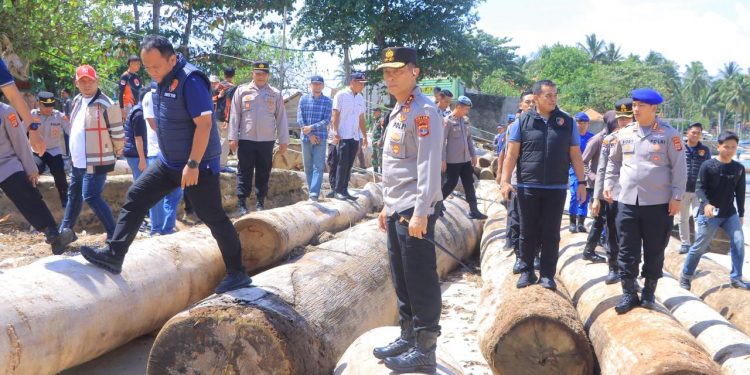 Kapolda Lampung Tegaskan Sikap: Illegal Logging Tak Ada Ruang di Pesisir Barat