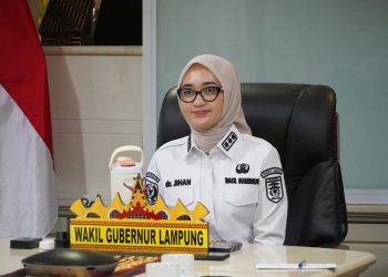 Wagub Jihan Dorong Orang Tua Melek AI