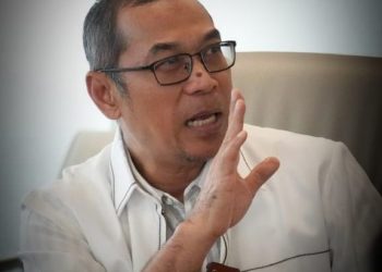 Lampung Siapkan Tanggul 11 Km Redam Konflik Gajah Way Kambas