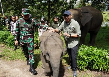 Mirza Targetkan Batas Permanen Akhiri Konflik Gajah Way Kambas