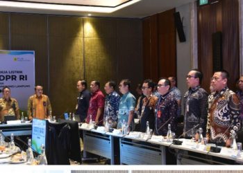 Panja Listrik DPR RI Kunjungi Lampung, Dorong Ketahanan Energi dan Pemerataan Akses