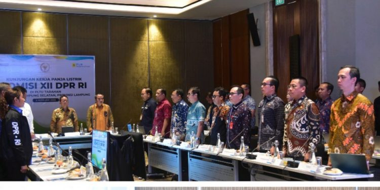 Panja Listrik DPR RI Kunjungi Lampung, Dorong Ketahanan Energi dan Pemerataan Akses