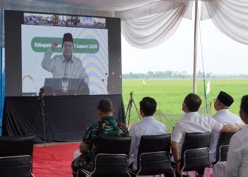 Lampung Dukung Swasembada, Produksi Padi Tembus 3,2 Juta Ton
