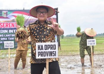 Ketua DPRD Lampung Turun Sawah, Perkuat Ketahanan Pangan di Lampung Timur