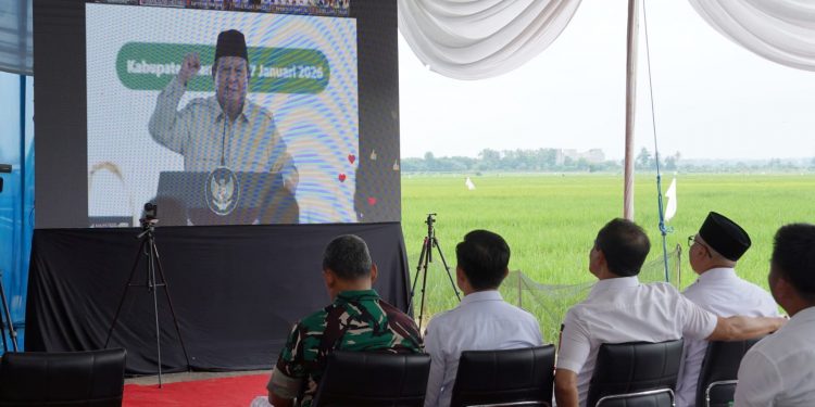 Lampung Dukung Swasembada, Produksi Padi Tembus 3,2 Juta Ton
