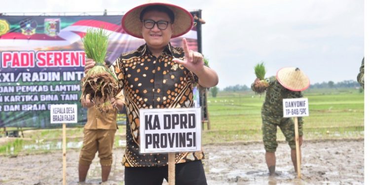 Ketua DPRD Lampung Turun Sawah, Perkuat Ketahanan Pangan di Lampung Timur