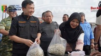 Walikota Eva Bersama Sekda Lampung Tinjau Sentra Ikan Teri Pulau Pasaran