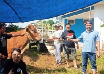 Semangat Berbagi, PWI Pesawaran Bagikan Daging dan Parcel