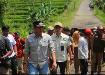 Lampung Barat Tancap Gas! Infrastruktur Jalan Kini Jadi Kunci Utama Dongkrak Ekonomi Rakyat