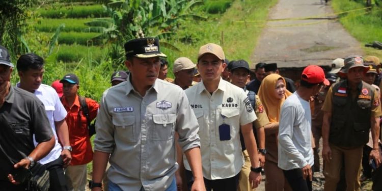 Lampung Barat Tancap Gas! Infrastruktur Jalan Kini Jadi Kunci Utama Dongkrak Ekonomi Rakyat