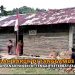 Sekolah Rapuh di Tanggamus: Harapan Anak Negeri di Tengah Keterbatasan