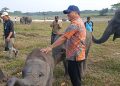 Way Kambas Bersolek, Pemerintah Genjot Konservasi Gajah dan Wisata