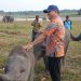 Way Kambas Bersolek, Presiden Genjot Konservasi Gajah dan Wisata