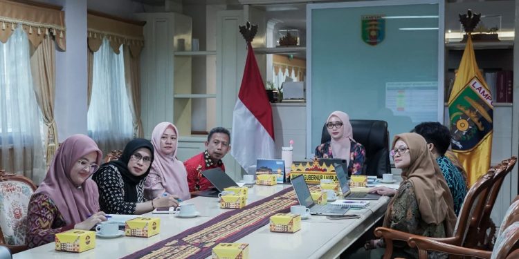 Wagub Jihan Dorong Percepatan Temuan Kasus TBC di Lampung