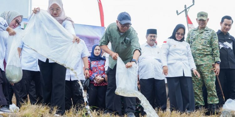 33 Ribu Benih Ikan Ditebar di Mesuji, Mirza: Jangan Disetrum!