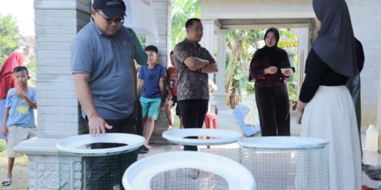 Warek Akademik Unila Monitoring Kegiatan KKN di Pesisir Barat