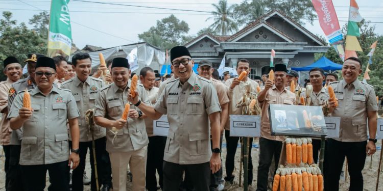 Gubernur Mirza Dorong Petani Lampung Selatan Naik Kelas