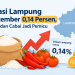 Inflasi Lampung September 0,14 Persen, Beras dan Cabai Jadi Pemicu