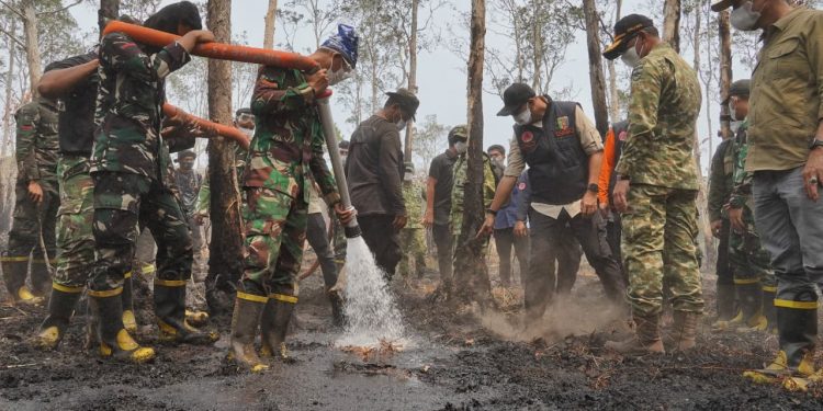 Mirza Tinjau Karhutla TNWK, 360 Personel Dikerahkan Padamkan Api